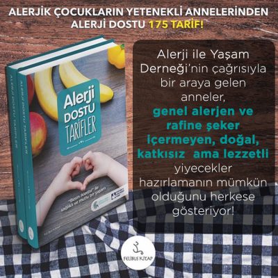 alerjik yemek tarifleri