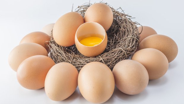 yumurta alerjisi tedavisi